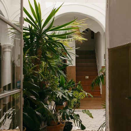 Hostal Africa Тарифа Екстериор снимка